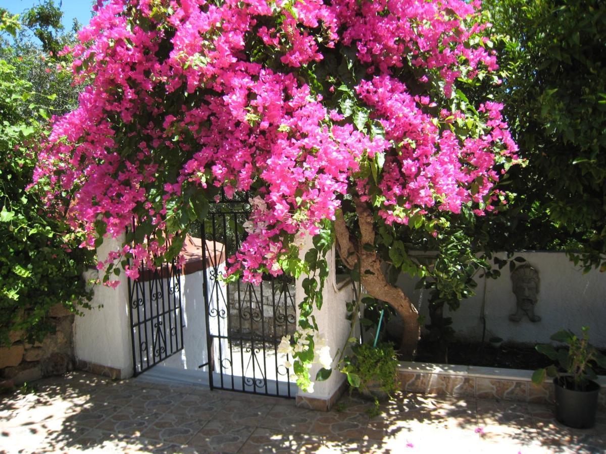Eleftheria Lindian Studios I Líndos Exterior photo